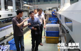 李汉发一行莅临我县考察恒安电气，共商发展新篇章