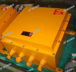 防爆接线箱优选供应商 瑞安市恒安电气有限责任公司